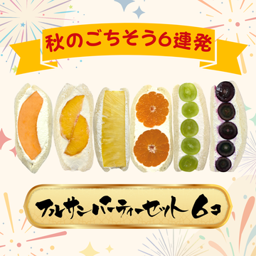 フルサンパーティーセット（6個）