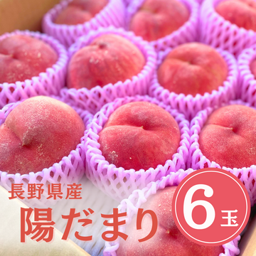 社長絶賛の桃