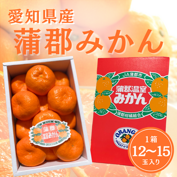 蒲郡みかん