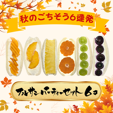 フルサンパーティーセット（6個）