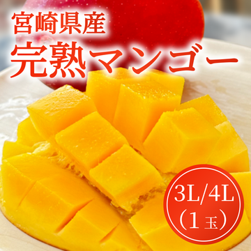 宮崎県産　完熟マンゴー