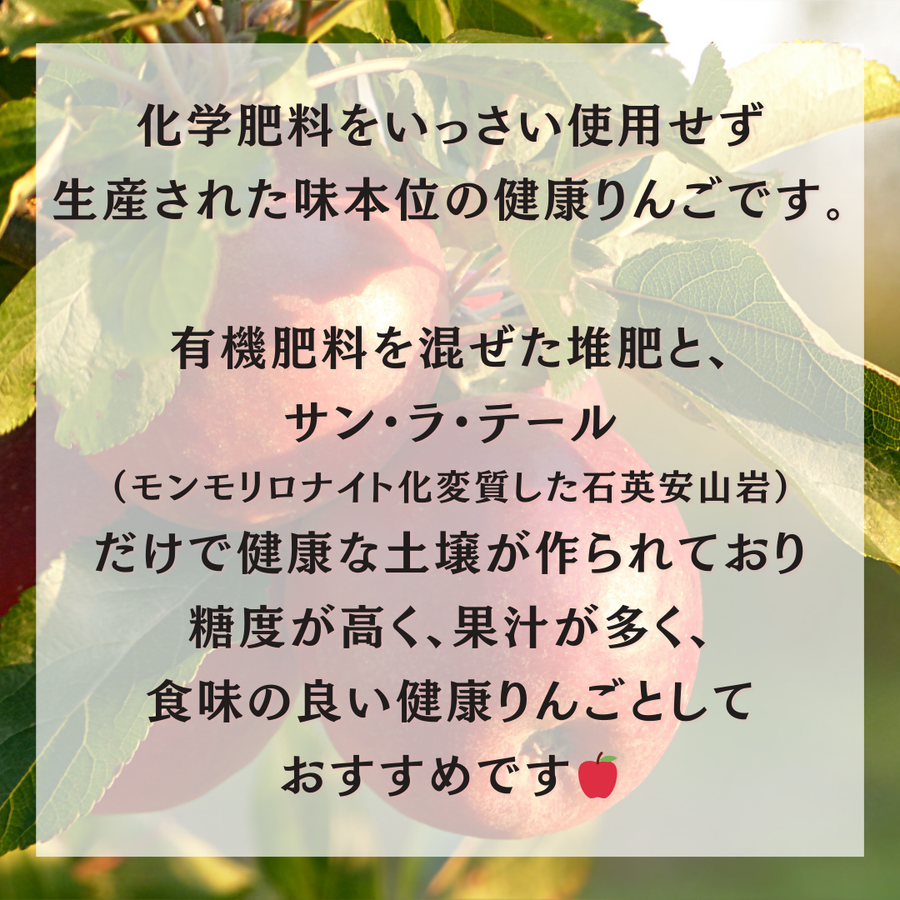 青森県三浦農園産 サンふじ