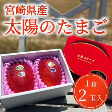 太陽のタマゴ