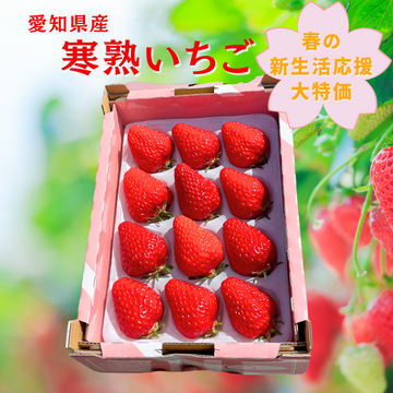 寒熟いちご