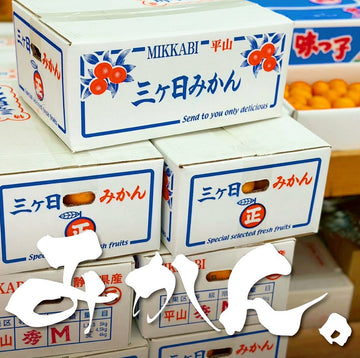 三ヶ日みかん (5kg箱)