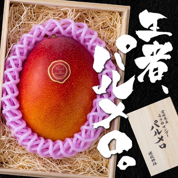 パルメロ