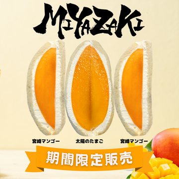 MIYAZAKI