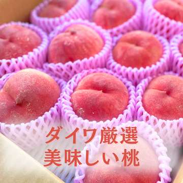 公式】ダイワスーパー - 八百屋の作る本気のフルーツサンド – ダイワ